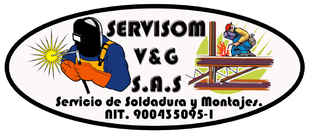 logo servisom vyg sas